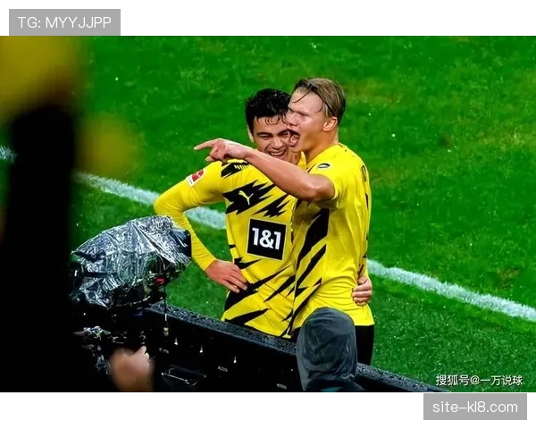 霍芬海姆与勒沃库森同积二十六分,欧战资格竞争陷入胶着